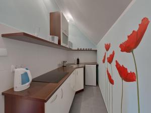 a kitchen with red flowers painted on the wall at Beauty of Krakow Apartment in Krakow