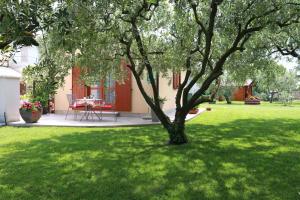 a tree in a yard with a table and chairs at Studio Apartment Volta in Crveni Vrh