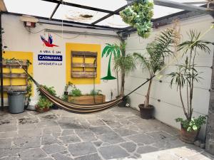 una hamaca en un edificio con plantas en Casa Internacional Querétaro en Querétaro