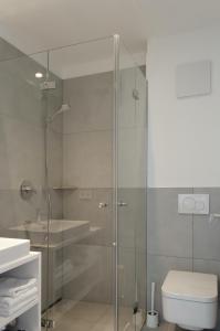 a glass shower in a bathroom with a toilet at seelandsuite Bodensee in Bermatingen