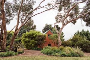 a wooden house surrounded by trees and bushes at Native Garden Retreat in Gisborne