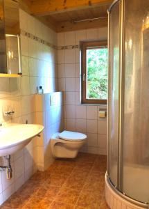 La salle de bains est pourvue de toilettes, d'un lavabo et d'une douche. dans l'établissement Holz Chalet Nähe Salzburg, à Feldbach