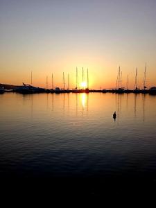 un pájaro parado en el agua al atardecer en AMMOESSA APARTMENTS en Plataria