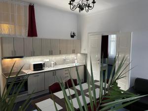 eine Küche mit einer Theke mit Stühlen und einem Waschbecken in der Unterkunft Apartmán Netolice 207 Deluxe in Netolice
