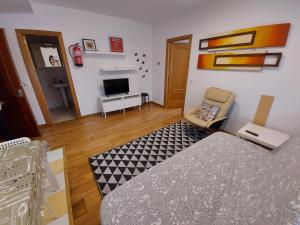 ウンケラにあるAPARTAMENTO F EN URBANIZACION con PISCINA CENTRO DE UNQUERA-VAL DE SAN VICENTE IDEAL PAREJASのベッドルーム(ベッド1台、テレビ付)