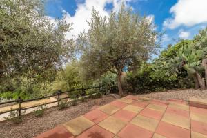 A garden outside Casa Angus
