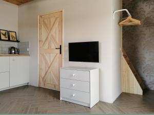 Televízia a/alebo spoločenská miestnosť v ubytovaní Siedlisko Kościelisko