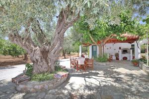 A garden outside Katerina
