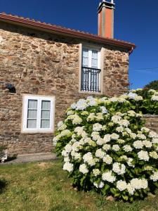a building with a window and a bush of white flowers at VUT Rural - Boente in Arzúa