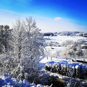 Gemütliche Wohnung in Wolfegg - Das Tor zum Allgäu v zimě