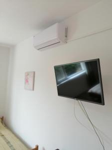 a flat screen tv hanging on a wall at Apartments Branka in Ika