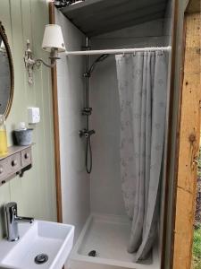 a bathroom with a shower curtain and a sink at Charming Shepherds Hut with Wood Fired Hot Tub in Charlton Musgrove