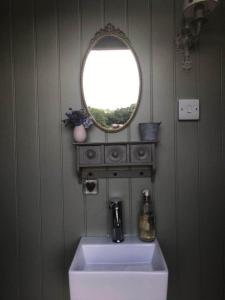 a bathroom with a sink and a mirror at Charming Shepherds Hut with Wood Fired Hot Tub in Charlton Musgrove