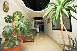 Fotografie z fotogalerie ubytování Kazbegi Hotel Batumi v destinaci Batumi