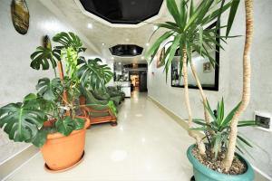 Fotografie z fotogalerie ubytování Kazbegi Hotel Batumi v destinaci Batumi
