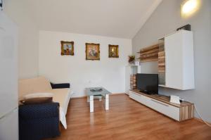 TV a/nebo společenská místnost v ubytování Zminj Apartments