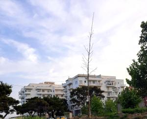 Afbeelding uit fotogalerij van Antea Apartments 1-2 in Vlorë