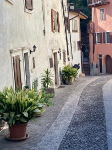 a cobblestone street with potted plants and buildings at ON the RAIL by Arcotrilogy-Homes in Arco