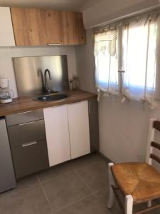 a small kitchen with a sink and a window at Domaine Trevinella in Cauro