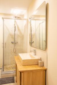 a bathroom with a sink and a shower at Chouet'appart in Dijon