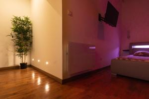 ディジョンにあるLuxury Spaの壁にテレビとベッドが備わる客室です。