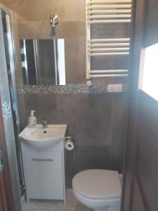 a small bathroom with a toilet and a sink at OperaHostel in Bydgoszcz