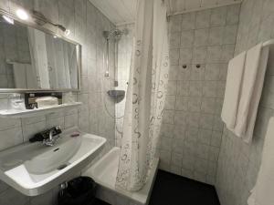 ein Bad mit einem Waschbecken und einem Duschvorhang in der Unterkunft Astoria Hotel Bad Wildstein in Traben-Trarbach