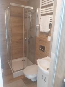 een badkamer met een douche, een toilet en een wastafel bij OperaHostel in Bydgoszcz