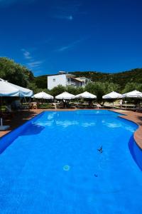 a large blue swimming pool with umbrellas at Haus Risos Next Generation in Toroni