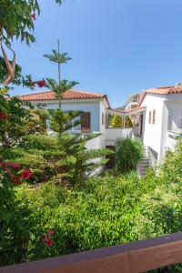 Κήπος έξω από το Lido Apartments Tolo