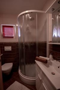 a bathroom with a shower and a toilet and a sink at Apartmani Ante in Jovići