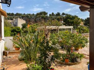 een tuin met planten en bomen op een patio bij Arte Povera Landhaus in idyllischem Naturreservat in Custonaci