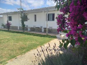 Edificio en el que se encuentra the country house