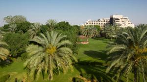 an aerial view of a park with palm trees and a building at Danat Al Ain Resort in Al Ain