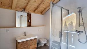 une salle de bain avec douche, lavabo et toilettes dans l'établissement CHALET NEUF -SAINT JEAN D'AULPS STATION 12 PERSONNES - CIMES C6, à Saint-Jean-dʼAulps 24 autres photos