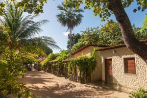 a street in a village with palm trees at Pousada Flambaião in Jijoca de Jericoacoara +44 photos