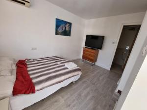 Dormitorio pequeño con cama y TV en וילה אברמוביץ en Rishon LeẔiyyon