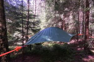 a blue tent in the middle of a forest at Baumzelt im Wald in Regen