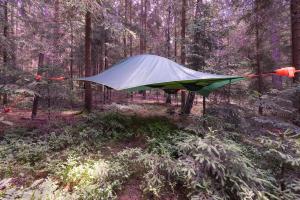 una tenda in mezzo a una foresta di Baumzelt im Wald a Regen