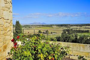 ムロにある021 Villa Sa Riba ETV7327 by Mallorca Charmeのギャラリーの写真 +29枚の写真