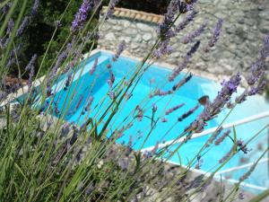 Bazén v ubytování cascading villa nebbo dubrovnik nebo v jeho okolí