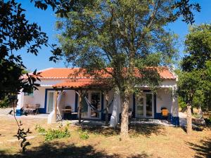 メリデスにあるPonte Pedra - Melides Country House Adults Onlyの木の目の前の小さな白い家