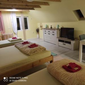 TV a/nebo společenská místnost v ubytování Mirella rooms