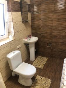 a bathroom with a toilet and a sink at Садиба "Сонячна" in Kosiv