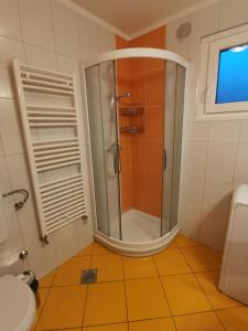Ett badrum på Apartment Lošč - Podbela