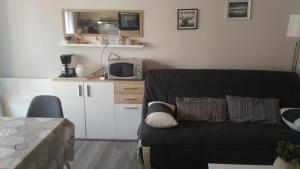 Una sala de estar con un sofá y un microondas. en Studio centre Carroz CA210, en Les Carroz d'Araches 8 fotos más