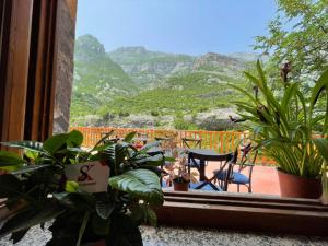 een balkon met planten en uitzicht op een berg bij Sofra Kelmendit in Tamarë