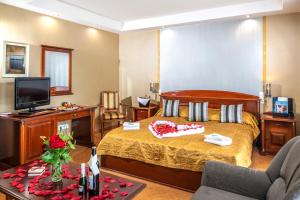 TV a/nebo společenská místnost v ubytování Duna Relax Hotel Ráckeve