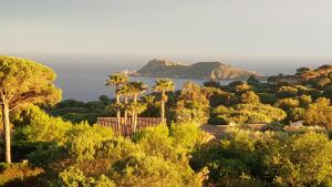 - une vue sur l'océan depuis une colline plantée de palmiers dans l'établissement Villa élégante à Ramatuelle + Piscine, à Ramatuelle