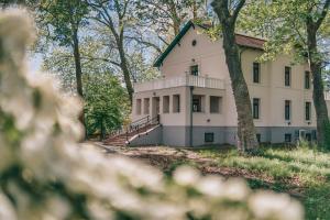 dom w środku lasu w obiekcie Bringa Villa w mieście Balatonlelle